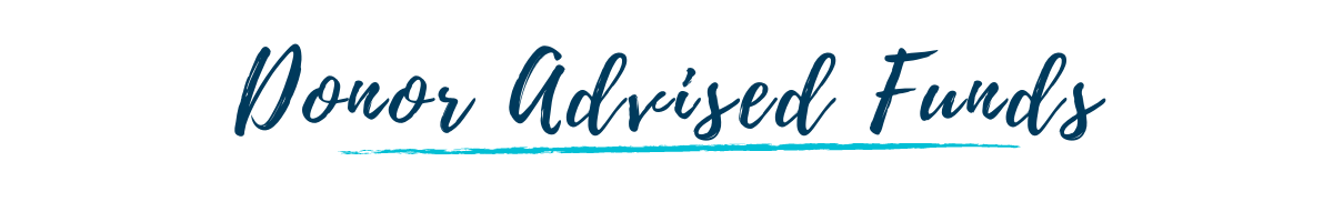 Donor Advised Funds